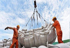 Lifting net bag