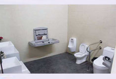 The third toilet
