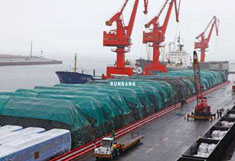 Terminal tarpaulin