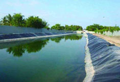 Seepage control engineering