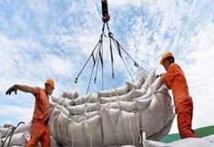 Lifting net bag